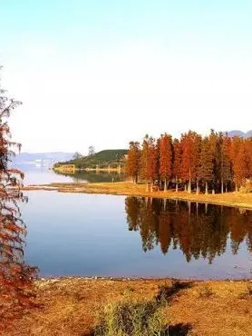 4d68b6fa2717d975685521a997d69844-sz_342658