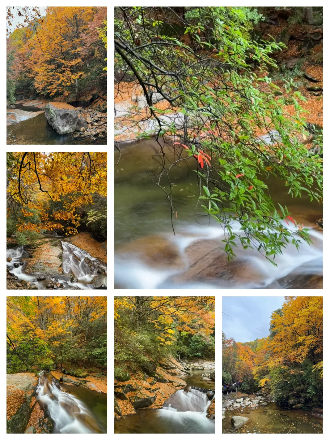 4dc27193152d622a6363f8c3e66dd0ef-sz_3157125 4dc27193152d622a6363f8c3e66dd0ef-sz_3157125