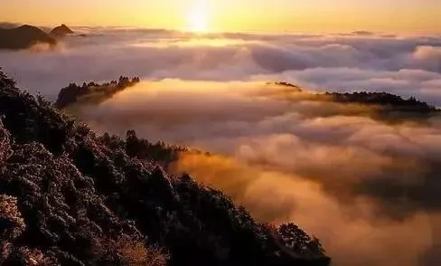 4de5f5a3b72bb4a70dc46913bd9bda2e-sz_22626