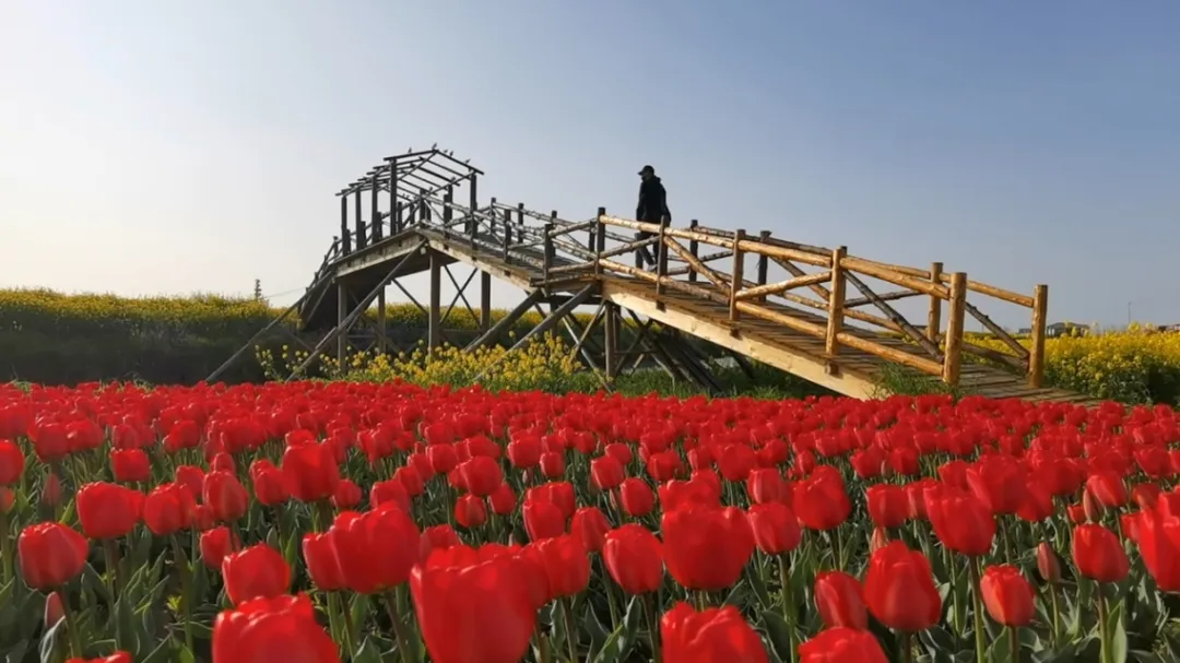 4e5d34913d081730792157f74e7f6d77-sz_442758 4e5d34913d081730792157f74e7f6d77-sz_442758