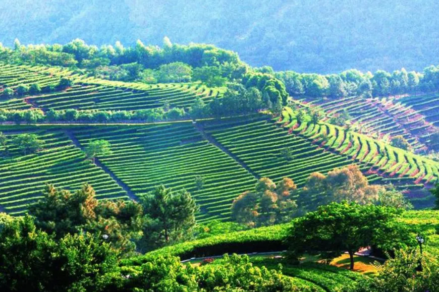 4e7050c49e420cca5388fe140b15d662-sz_1112756-1 4e7050c49e420cca5388fe140b15d662-sz_1112756-1