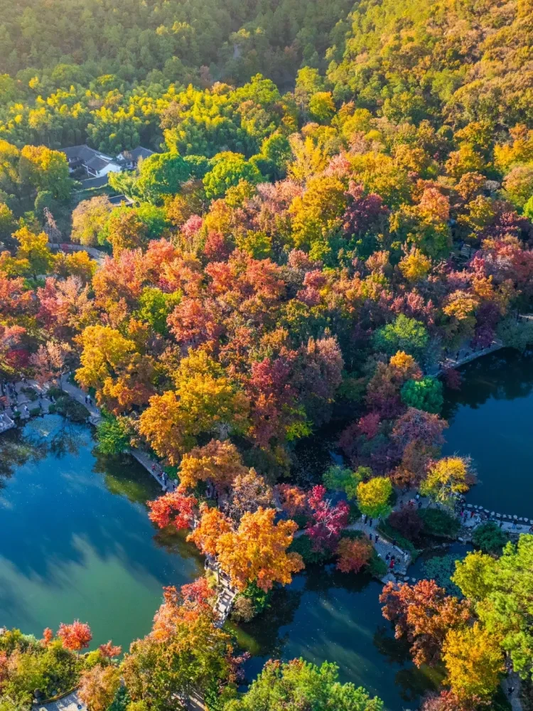 4f0e5c52f3b8f055e13fca6574992e7e-sz_4149369 4f0e5c52f3b8f055e13fca6574992e7e-sz_4149369