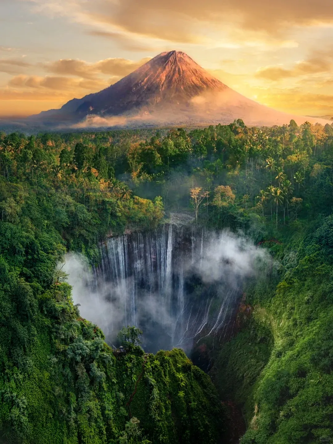 4f124481db097b5e5bf630829e25b075-sz_467286 4f124481db097b5e5bf630829e25b075-sz_467286