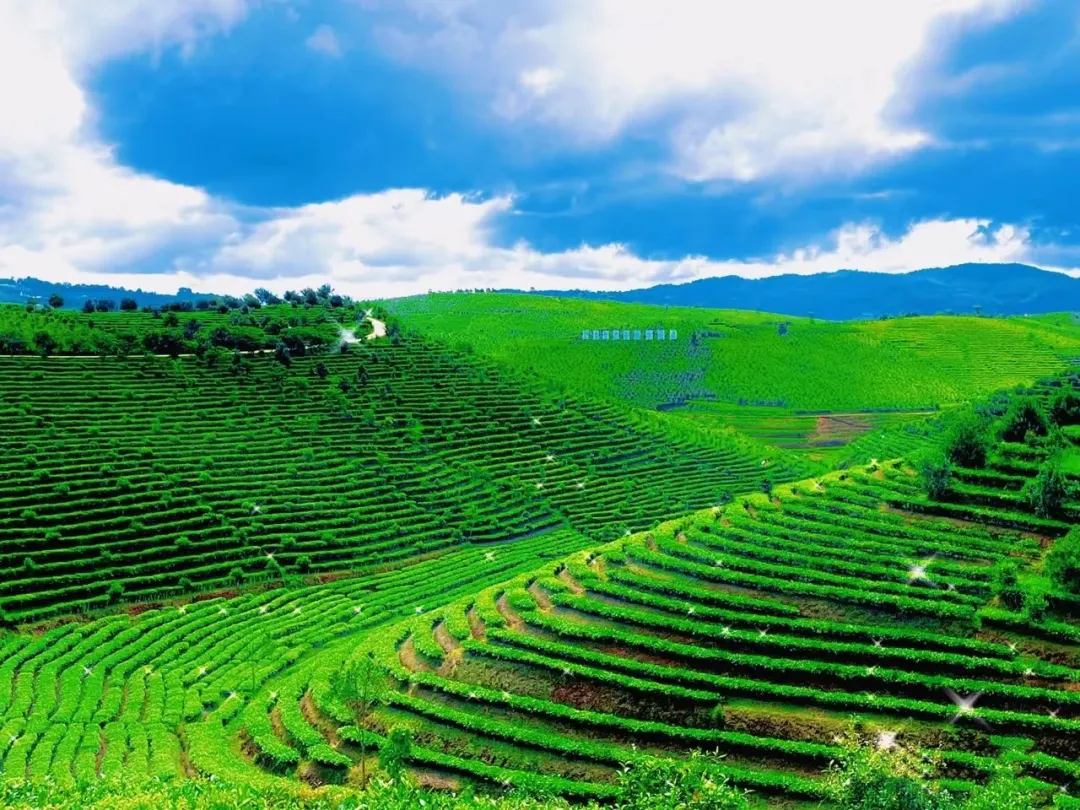 4f375229d3850092d766dc0b586d6f5d-sz_517679 4f375229d3850092d766dc0b586d6f5d-sz_517679