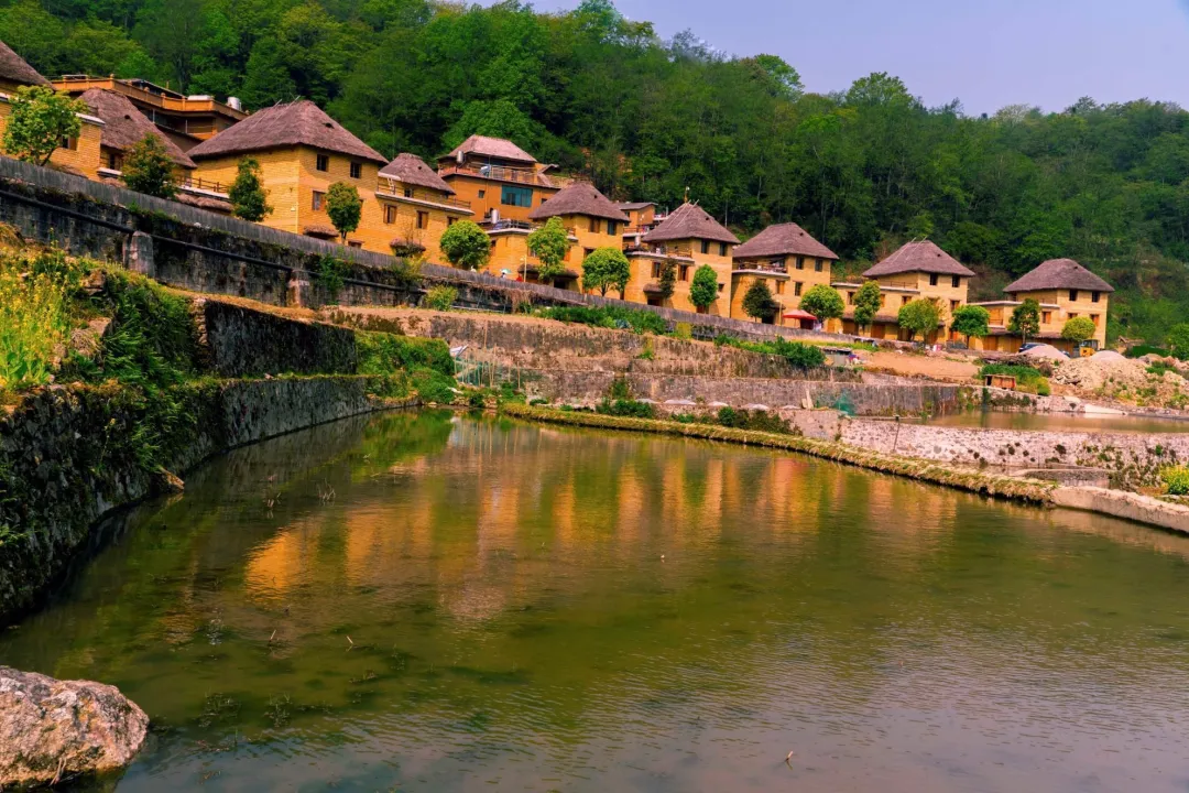 4f61d7b3ac440b084c783ac9fdc9d16e-sz_559357 4f61d7b3ac440b084c783ac9fdc9d16e-sz_559357