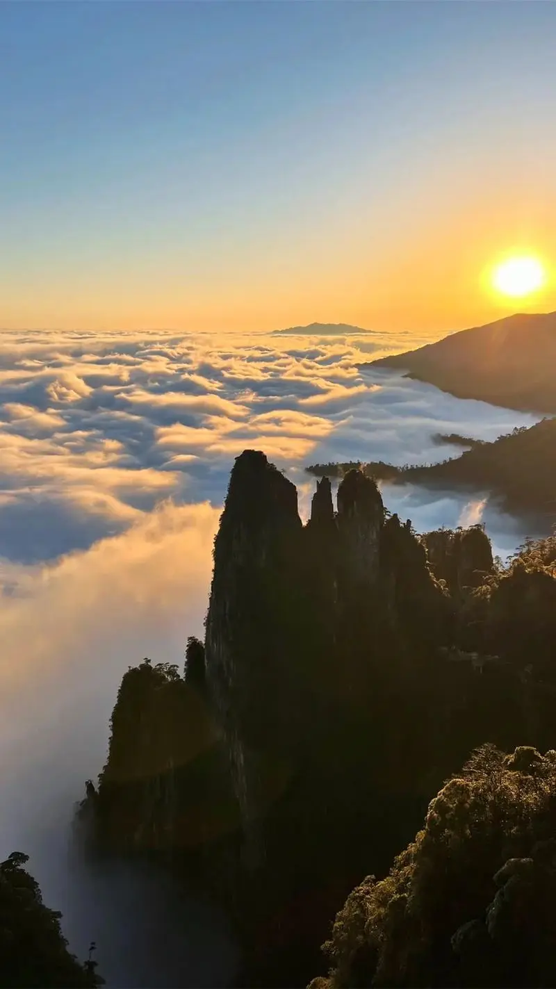 4f776221816dfc4d1a92311192db2b9f-sz_70821