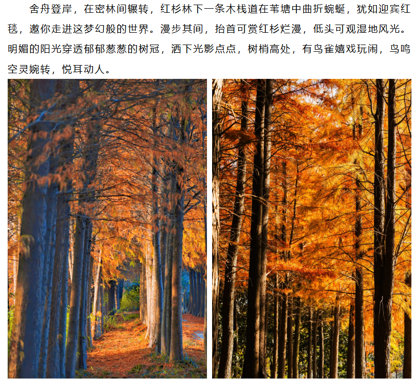 4f925ef611e3bf6a08b076b77f463071