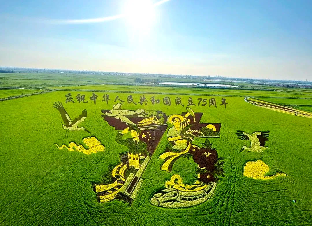 4ffa0523437ba2a1d48f530f0265c2fd-sz_1346079