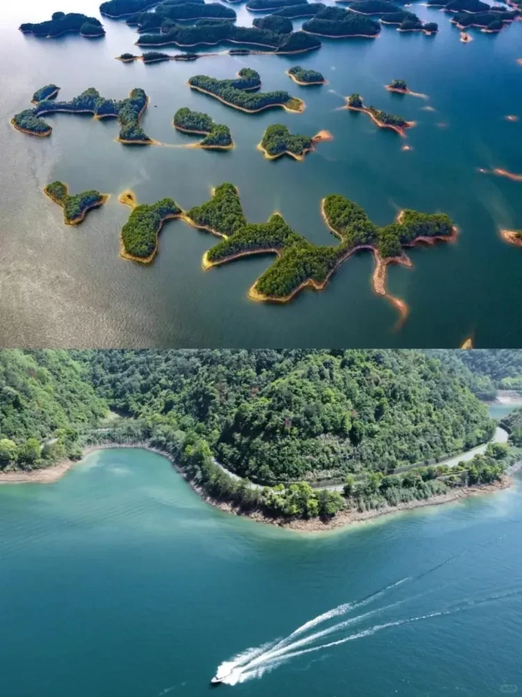 5006288f4cc3714ceb0389bb26a98560-sz_2733932 5006288f4cc3714ceb0389bb26a98560-sz_2733932