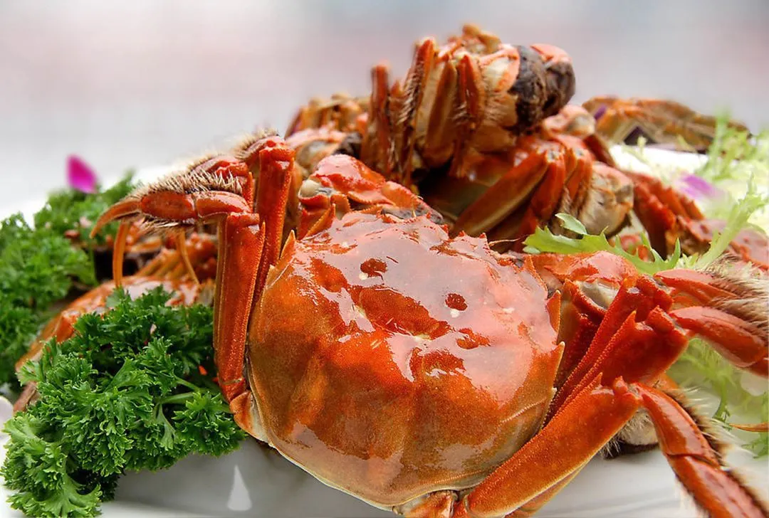 508d247cfdcf7ec6655fbb78df2a6036-sz_145799 508d247cfdcf7ec6655fbb78df2a6036-sz_145799