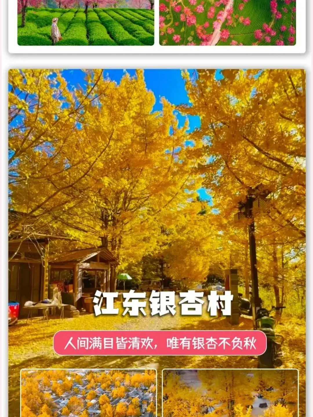 50c57481c5613a1cd6a9e6ef1c77fe82-sz_437436-1