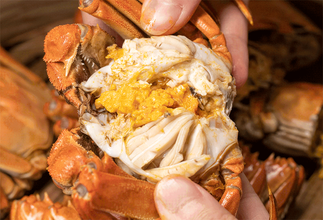 50eb604498a5923349cf70fa5a9f51d9-sz_7901496 50eb604498a5923349cf70fa5a9f51d9-sz_7901496