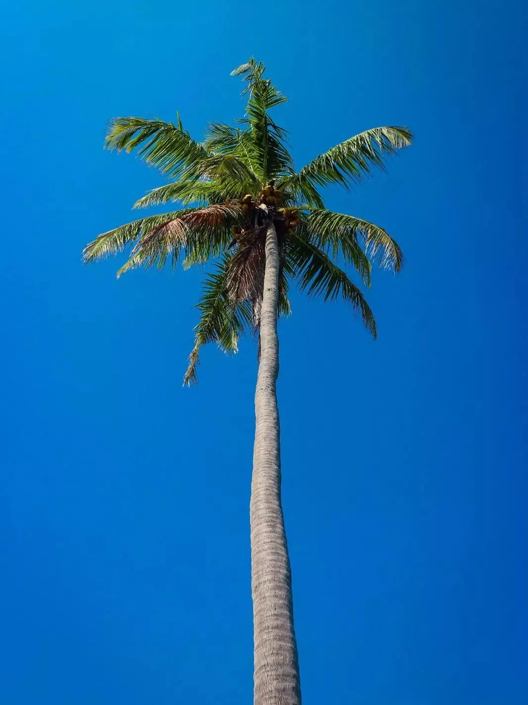 5105baedadfc905b5566756e38599ab7-sz_124072 5105baedadfc905b5566756e38599ab7-sz_124072