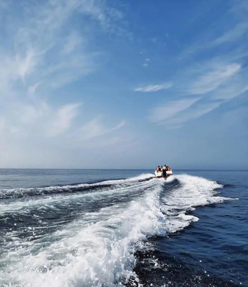 51570c4e143e212ae1950de8af81a5a6-sz_94738 51570c4e143e212ae1950de8af81a5a6-sz_94738