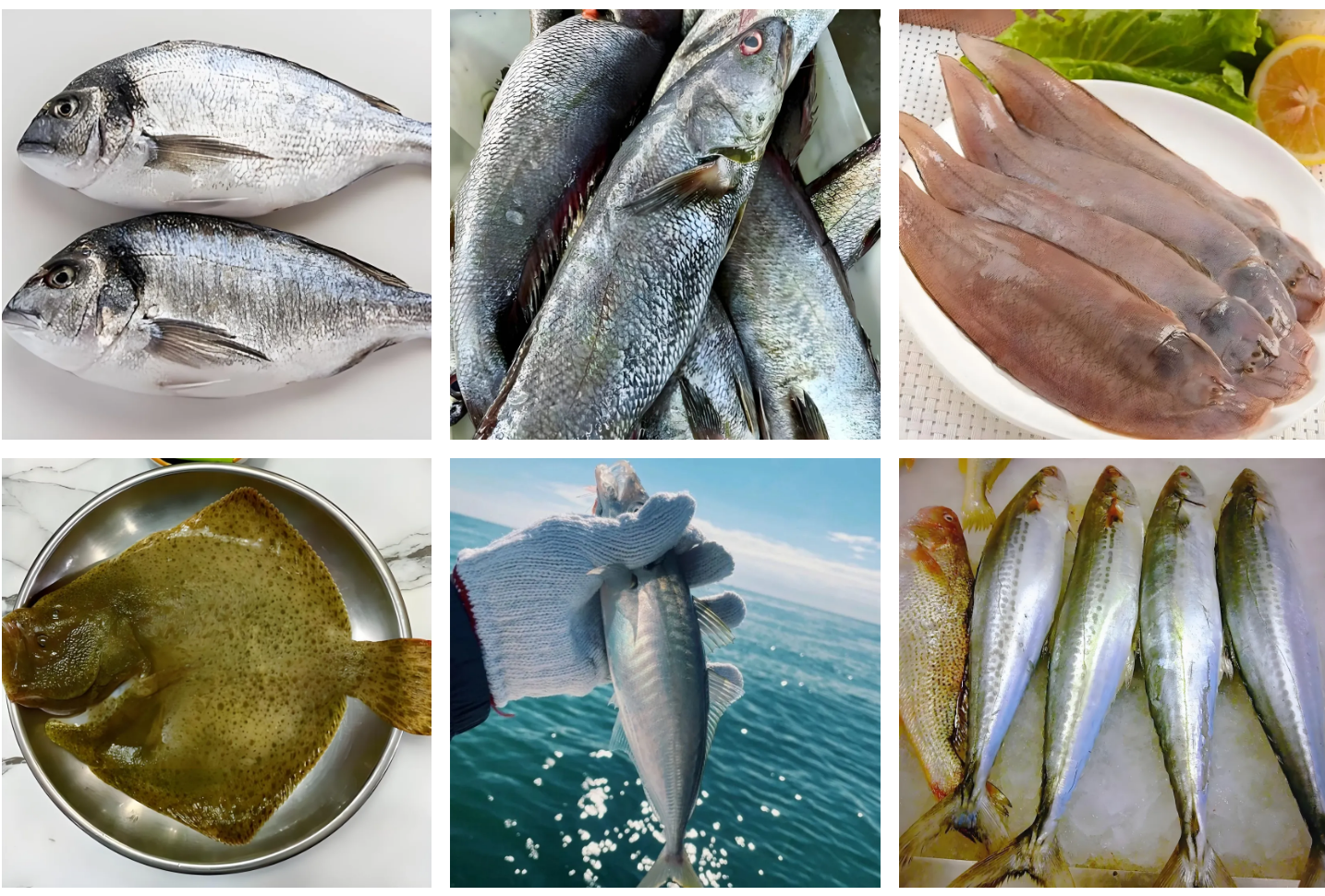 516c2d79014c0e65364b7482bdddd276 516c2d79014c0e65364b7482bdddd276