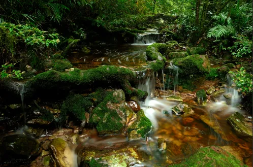 51c8b6343ee7d48aa346ec7f5d3c0967-sz_464807 51c8b6343ee7d48aa346ec7f5d3c0967-sz_464807