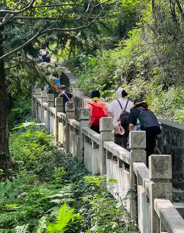 52691196ff094c5f34bfaf19bd24169c-sz_1290657-3 52691196ff094c5f34bfaf19bd24169c-sz_1290657-3