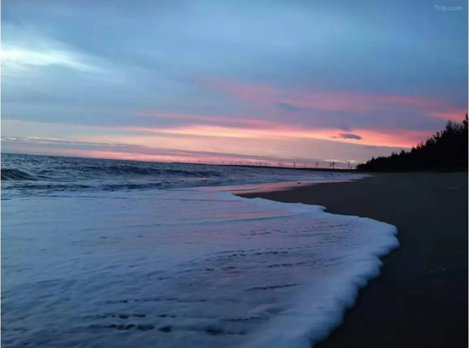 52b40db9268e7f4fd058e266f0351ede