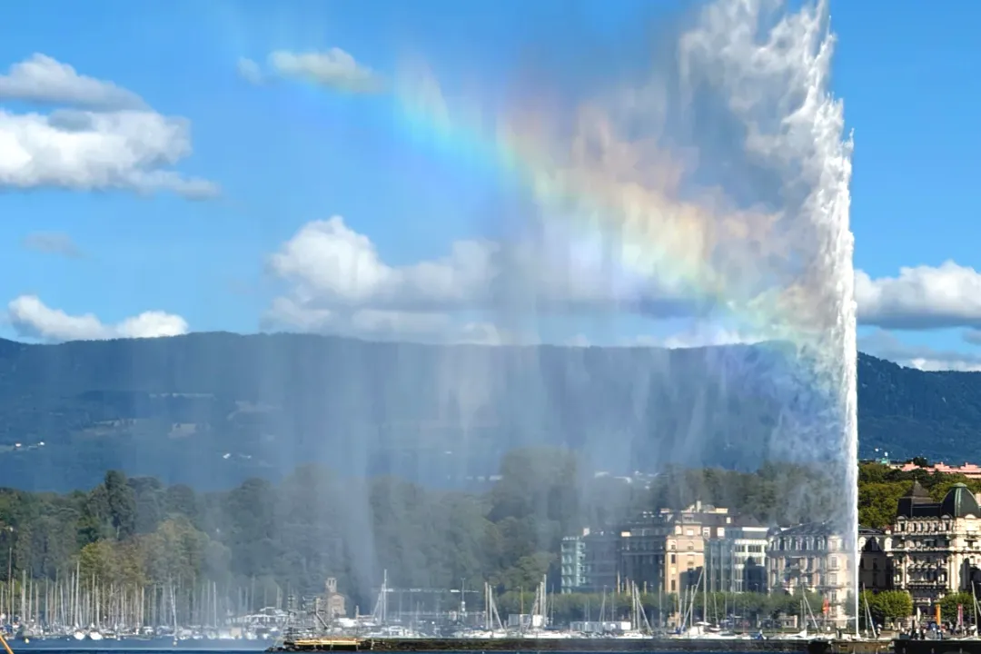 52e6a7634beaa7953582e421042a0f15-sz_1127884