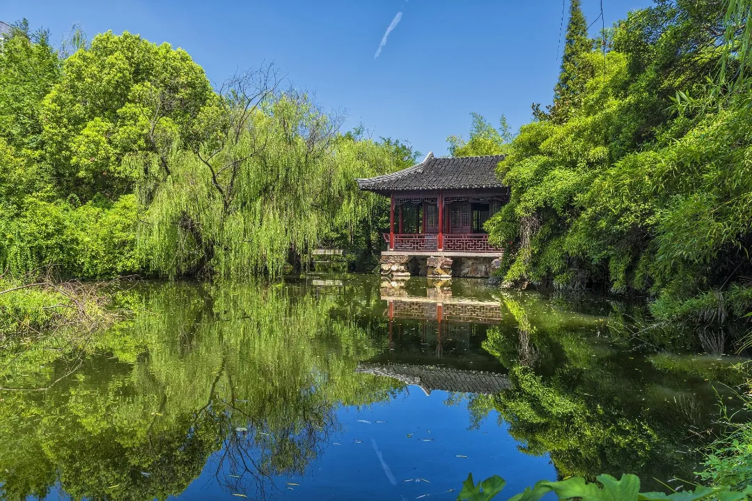 5314bb853ffed0de03877ff0b350f07f-sz_1118033 5314bb853ffed0de03877ff0b350f07f-sz_1118033