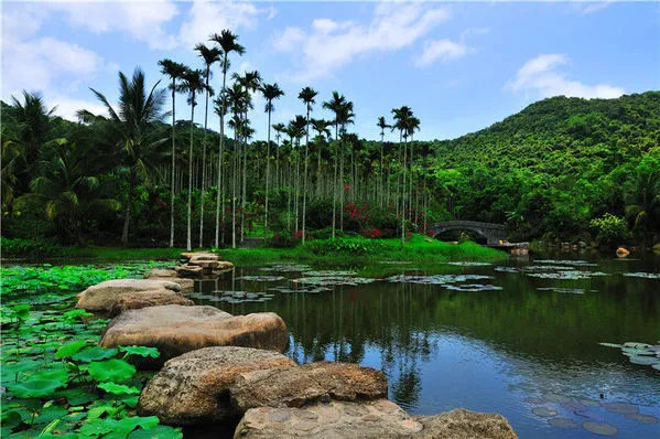 5333eb99638933c9eaedbf03975c6eb9-sz_86794 5333eb99638933c9eaedbf03975c6eb9-sz_86794