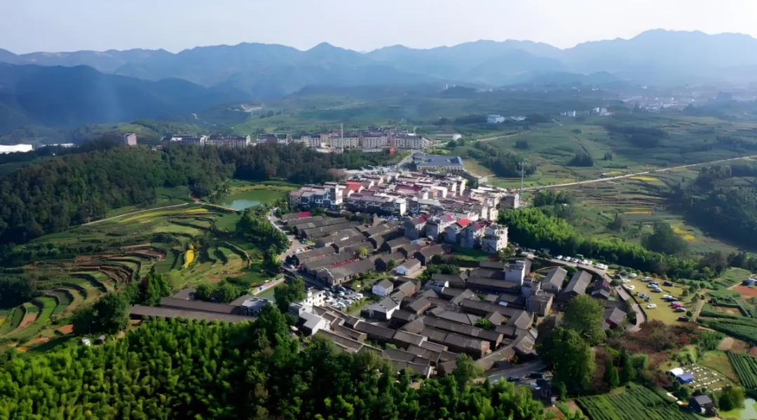 53463236738aa3dadf7207b32b59dc10-sz_1001499