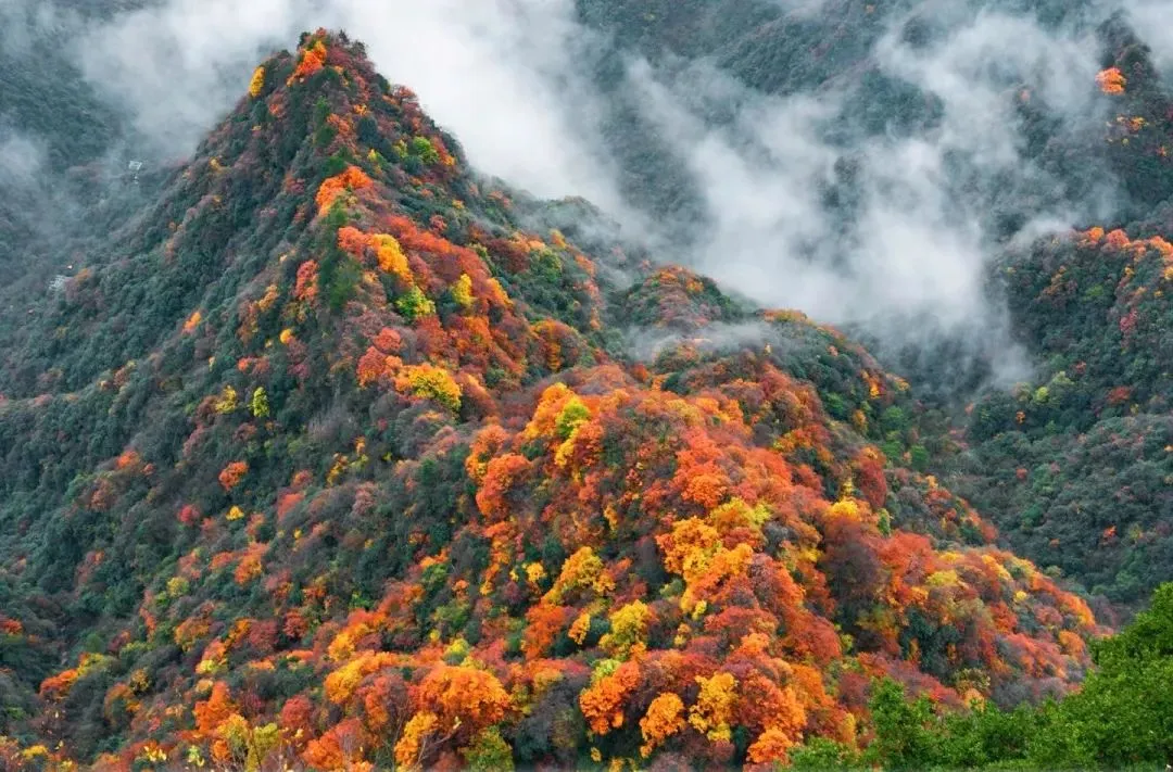 53563c91e2ab13ec1505df47e2148346-sz_175537 53563c91e2ab13ec1505df47e2148346-sz_175537