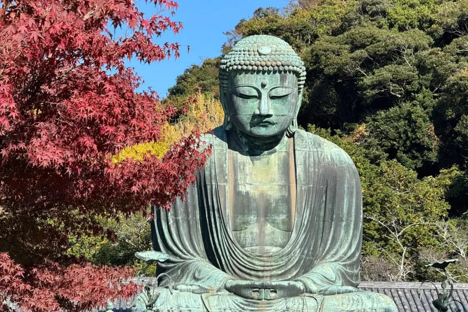 537c1ff6fcbb74c53932e76f8ae493b8-sz_1086854 537c1ff6fcbb74c53932e76f8ae493b8-sz_1086854