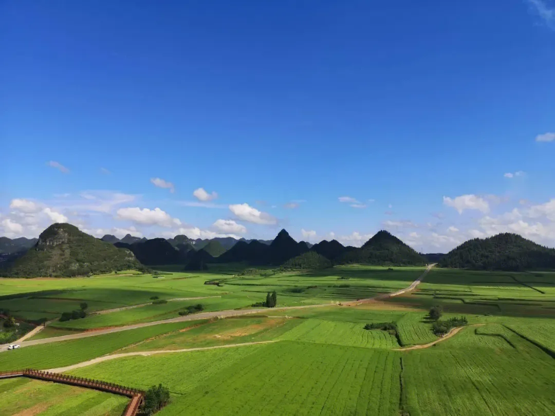 5386369665bbacd5f484eb8b4fc4e4d6-sz_1050920 5386369665bbacd5f484eb8b4fc4e4d6-sz_1050920