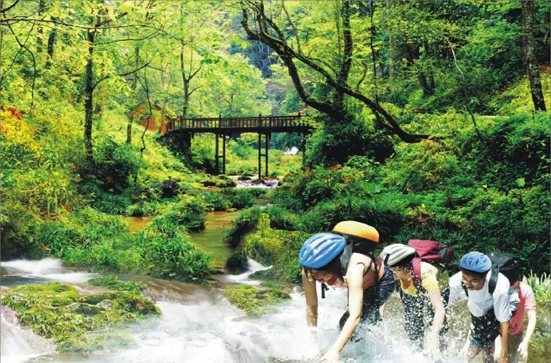 538745f468eba529921dadf93d1fbdb0-sz_279950 538745f468eba529921dadf93d1fbdb0-sz_279950