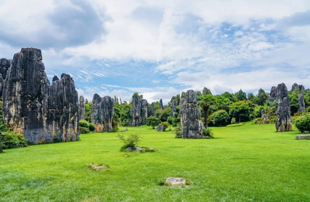 53a4a07dc7918fe96d7ed5adcd85d889-sz_312928