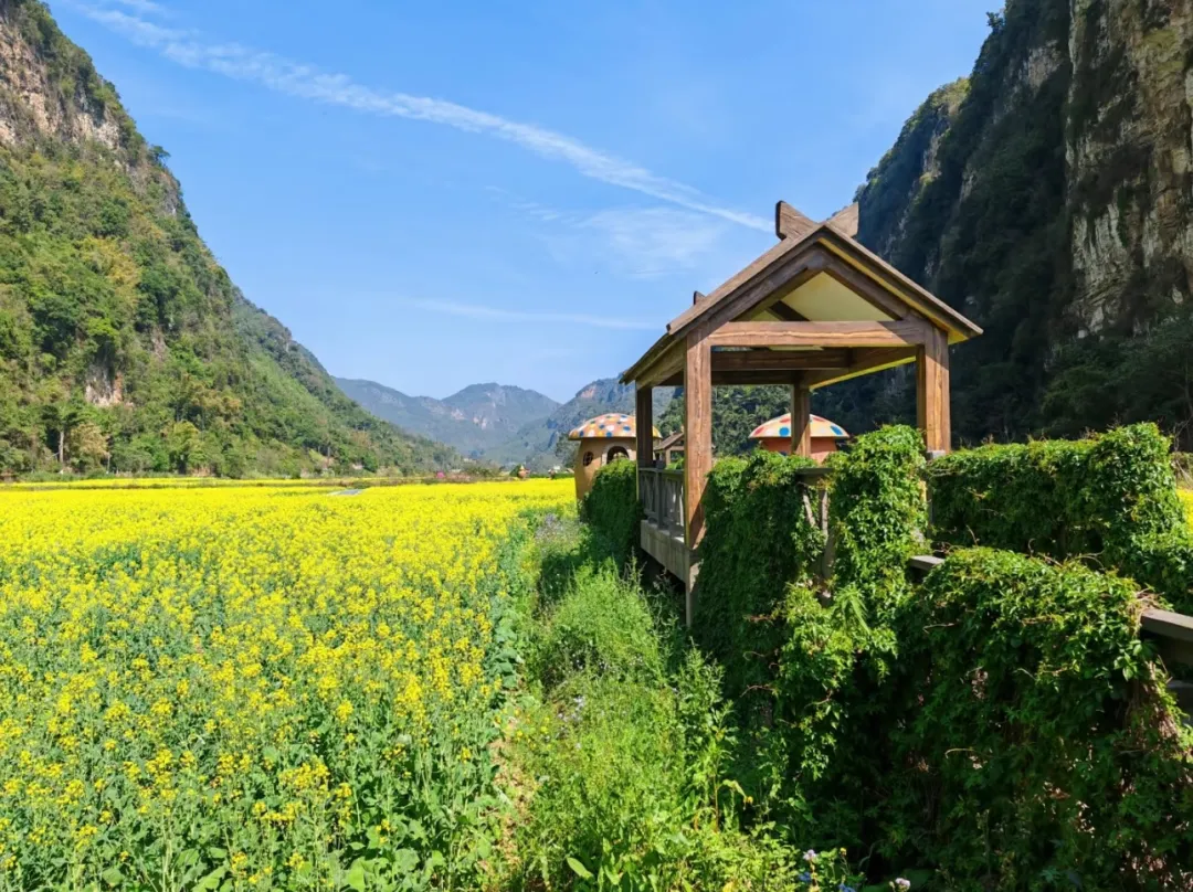 53d0f14992de80b4490162698bc2fce2-sz_618694 53d0f14992de80b4490162698bc2fce2-sz_618694