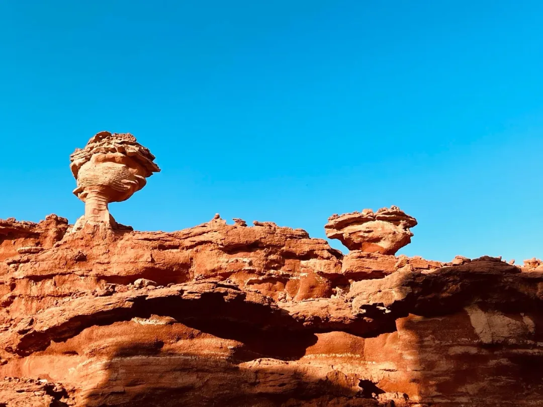 53fa14a1fe42b8141882b2cf7027137a-sz_1364416 53fa14a1fe42b8141882b2cf7027137a-sz_1364416