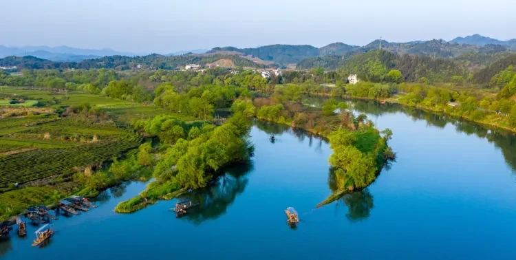 540953daf831793cdaecf08cec0355d5-sz_1551442-1 540953daf831793cdaecf08cec0355d5-sz_1551442-1