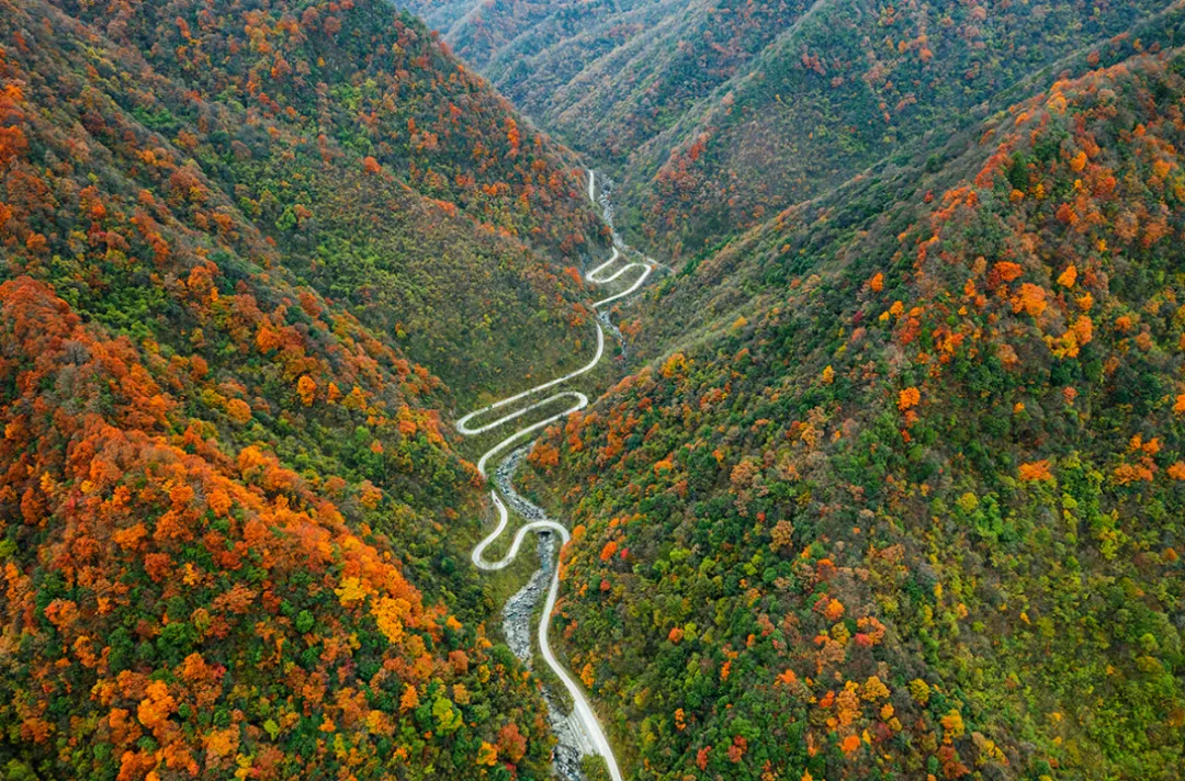 543fa5b8d640849ed01734f06d51551d-sz_1861724 543fa5b8d640849ed01734f06d51551d-sz_1861724