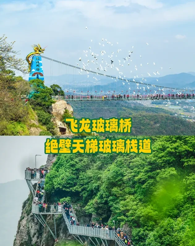 5448865e39288d0df2cf7f070489f412-sz_970786 5448865e39288d0df2cf7f070489f412-sz_970786