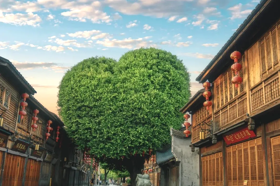 54924a82d0fa6eb1d16a025bb85d7ebc-sz_489245 54924a82d0fa6eb1d16a025bb85d7ebc-sz_489245