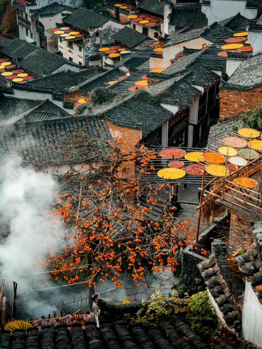 549ba8d11fe16f8fbad1ded954174493-sz_3750169-1