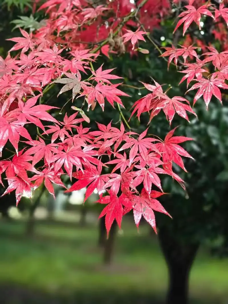 54a6996b9fd8fd954c5b39dbe88a88db-sz_132210 54a6996b9fd8fd954c5b39dbe88a88db-sz_132210