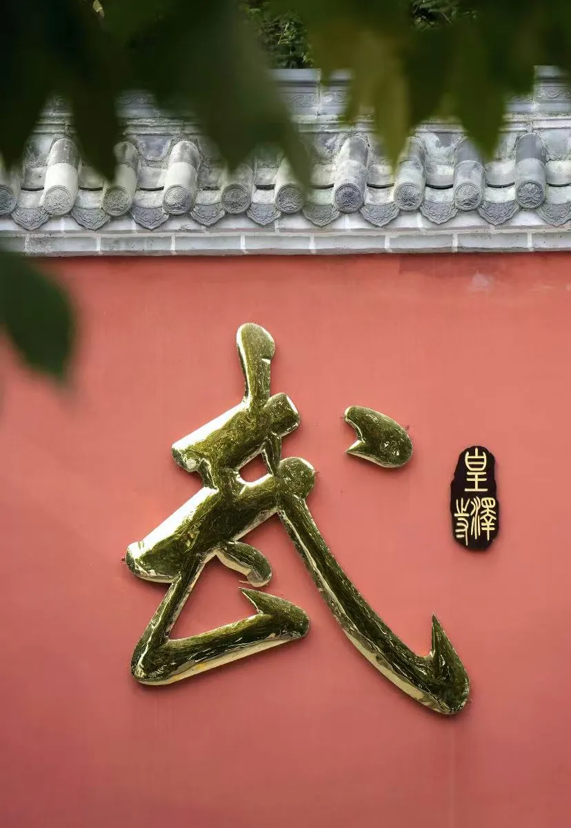 54cc94f5e1e68357e1346df12b9b8a65-sz_1295538-1