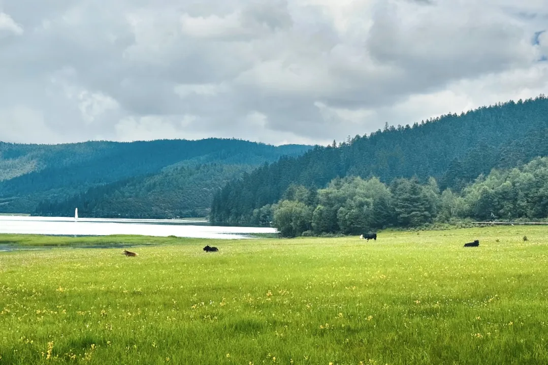 54d026b870ab9f916a1b81cd18f790d1-sz_489151 54d026b870ab9f916a1b81cd18f790d1-sz_489151