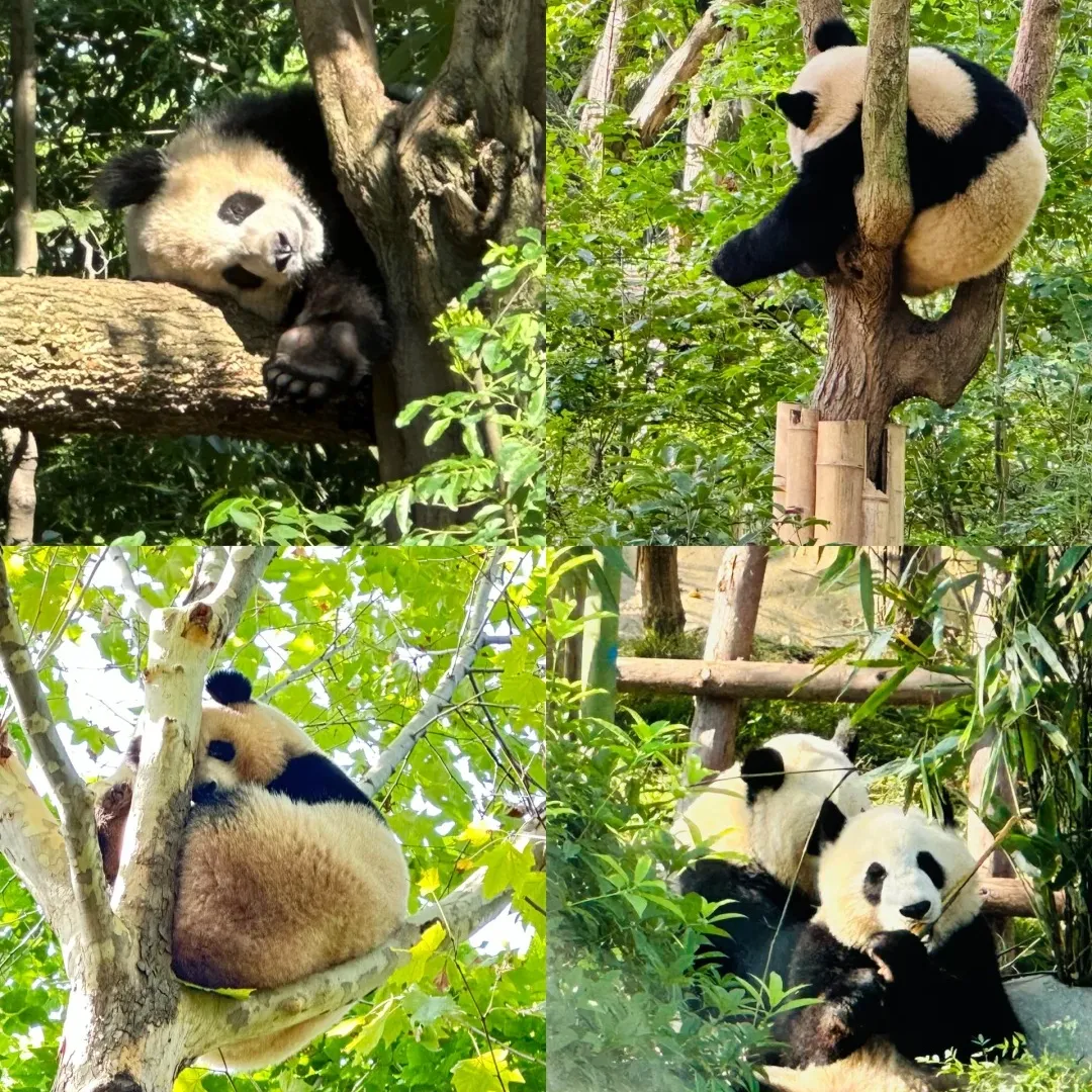 54deee2452bd7e6613ecfd4e980b797b-sz_676603-1 54deee2452bd7e6613ecfd4e980b797b-sz_676603-1