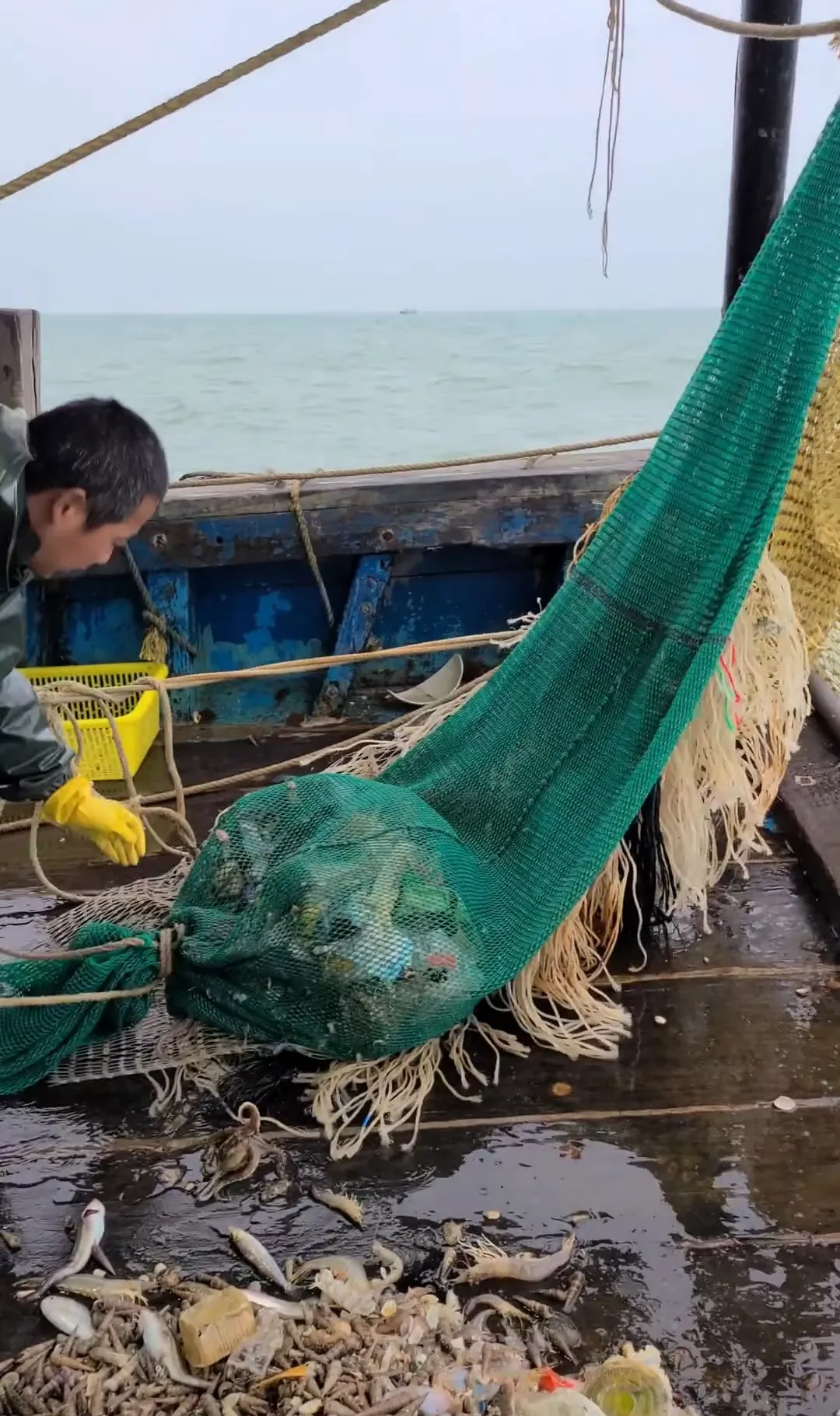 550a273c5864ee31c93cf5b70960601c-sz_1716894-1 550a273c5864ee31c93cf5b70960601c-sz_1716894-1