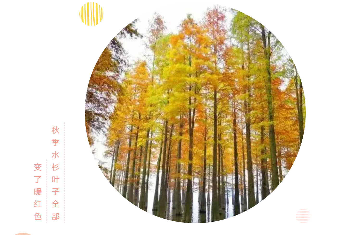 555cc945f00144c129e068df2433b321 555cc945f00144c129e068df2433b321