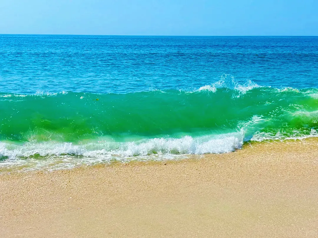 55609d90a162f50292b77935280d8b14-sz_1450181 55609d90a162f50292b77935280d8b14-sz_1450181