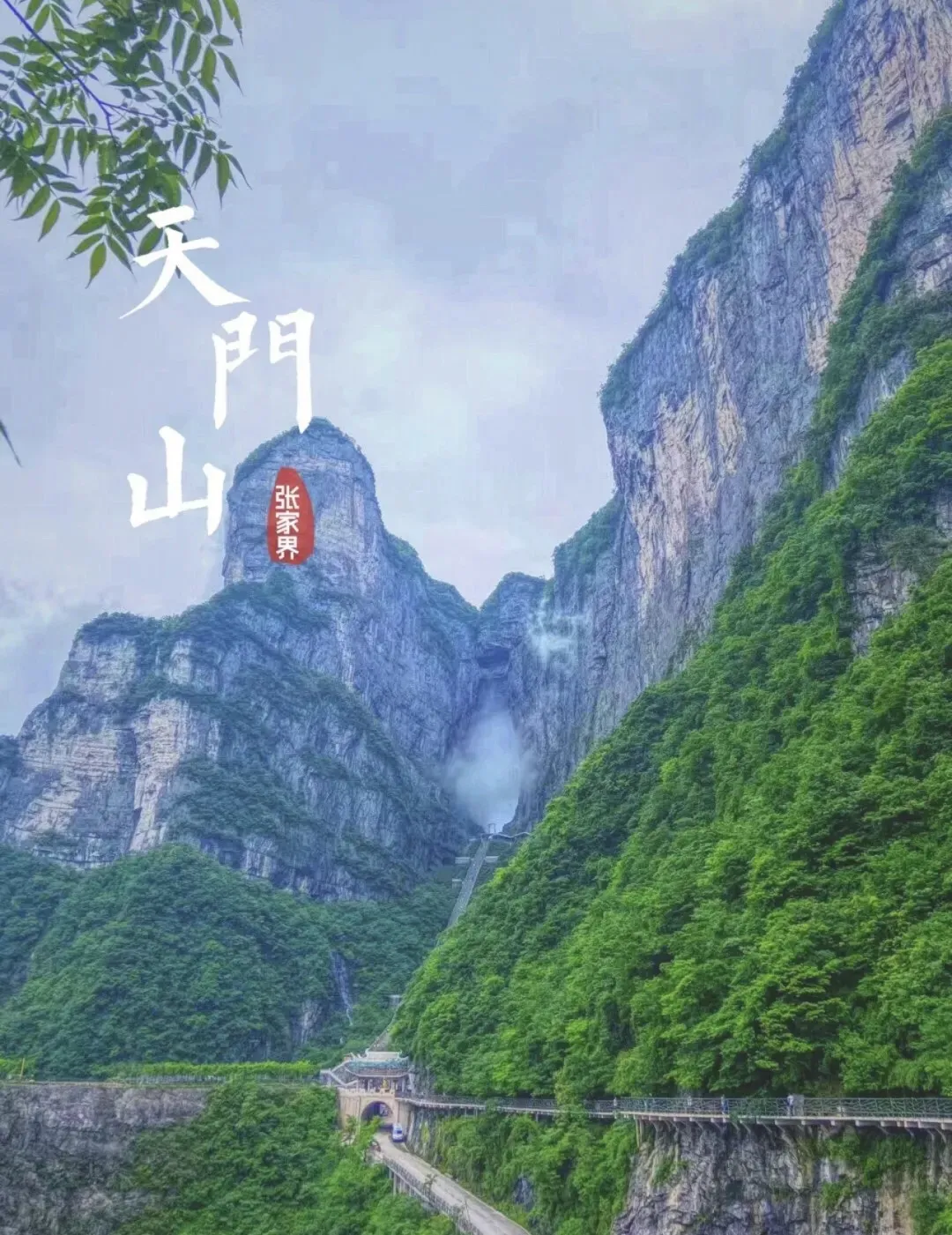 55625150115b7f61e47f52853d2c2375-sz_380589-5 55625150115b7f61e47f52853d2c2375-sz_380589-5