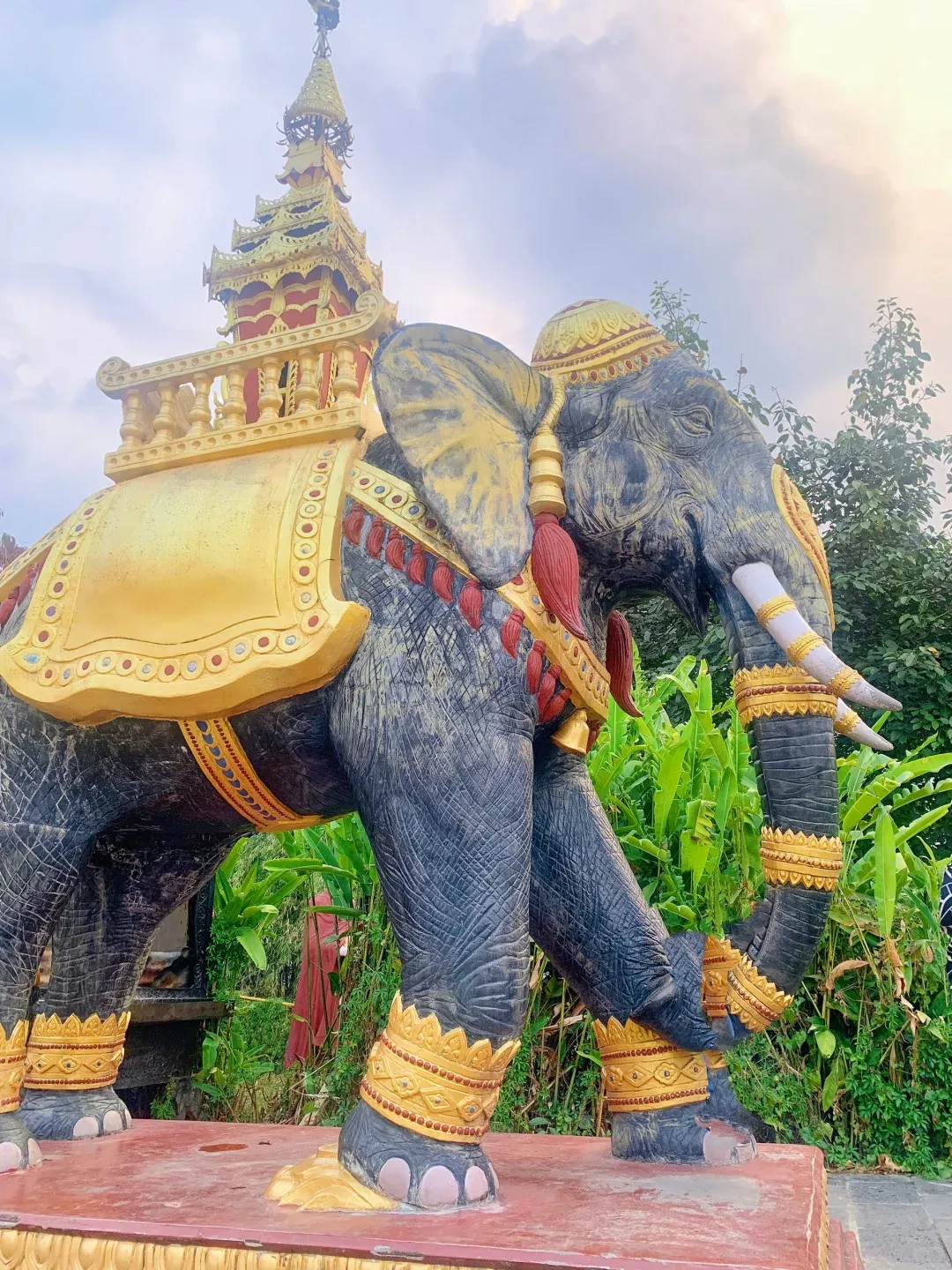 55ca2acd399449cd64d4e0755526a0e7-sz_3389412