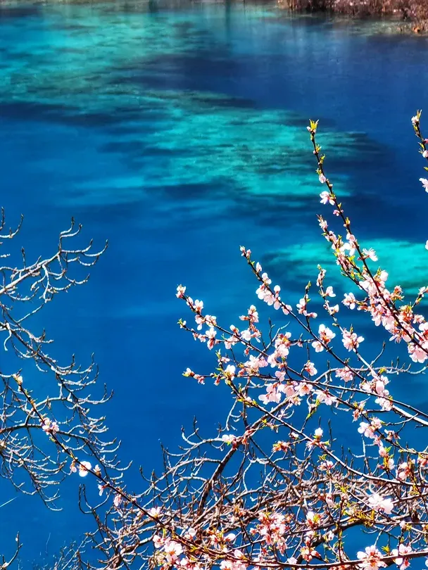 55e10e77f37298735d42501672be86b1-sz_1982282-1 55e10e77f37298735d42501672be86b1-sz_1982282-1