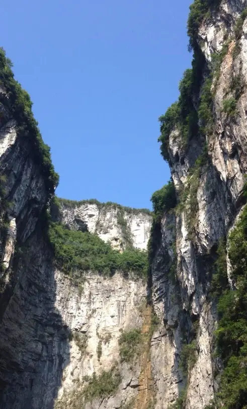 55f5aca2dc3ca92f5f92a58c8e1b87f9-sz_355917-1