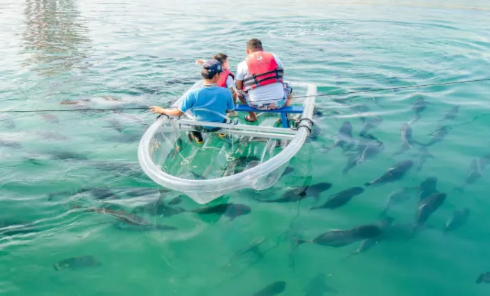 55fd5b86e43cc803842eb5be8a88ea08-sz_753506 55fd5b86e43cc803842eb5be8a88ea08-sz_753506